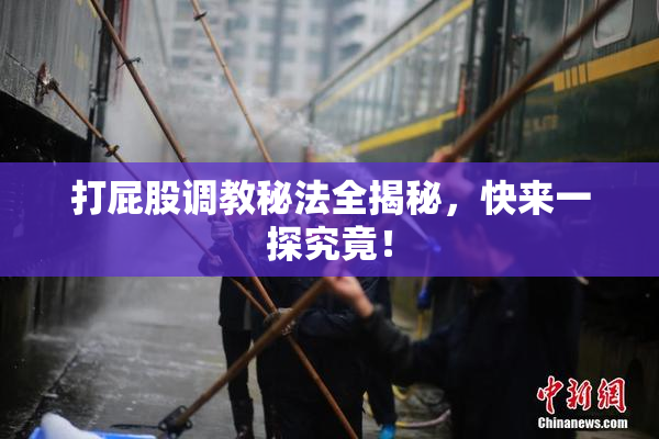 打屁股调教秘法全揭秘，快来一探究竟！