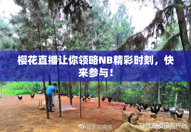 樱花直播让你领略NB精彩时刻，快来参与！