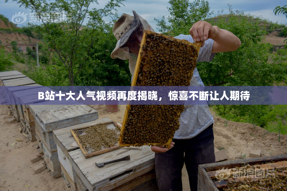 B站十大人气视频再度揭晓，惊喜不断让人期待