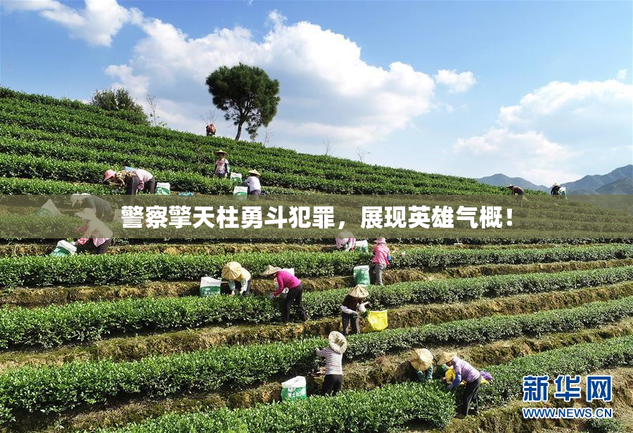 警察擎天柱勇斗犯罪，展现英雄气概！
