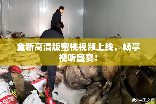 全新高清版蜜桃视频上线，畅享视听盛宴！