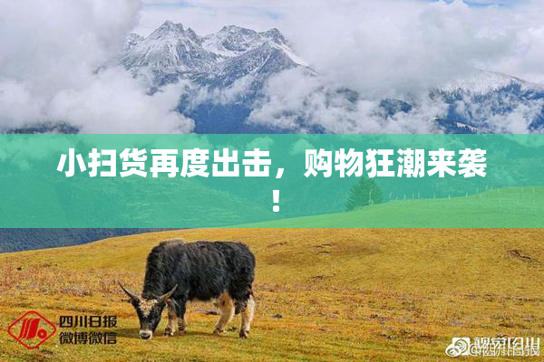 小扫货再度出击，购物狂潮来袭！
