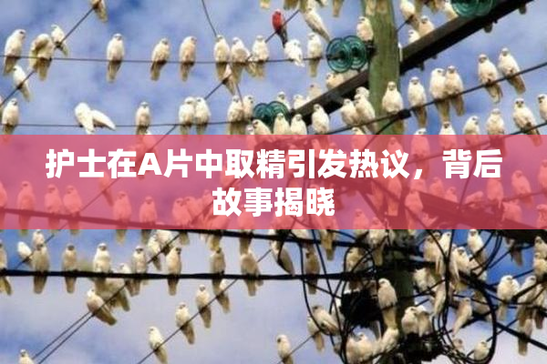 护士在A片中取精引发热议，背后故事揭晓