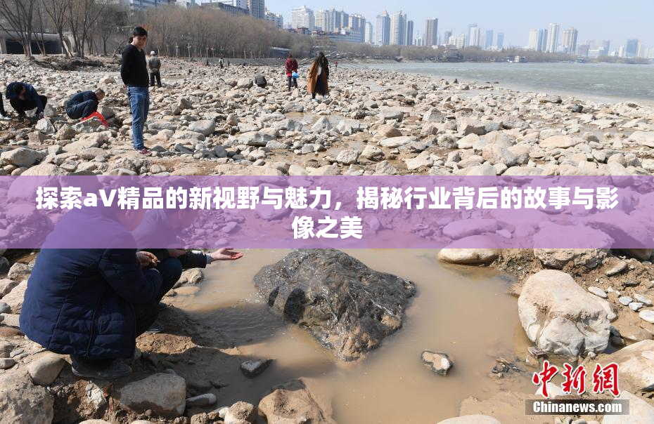 探索aV精品的新视野与魅力，揭秘行业背后的故事与影像之美