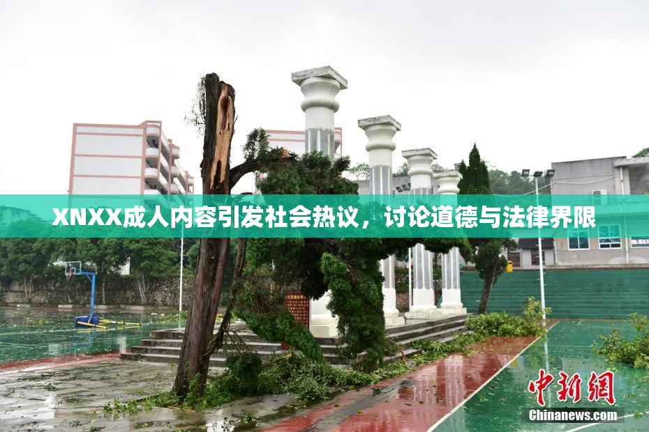XNXX成人内容引发社会热议，讨论道德与法律界限