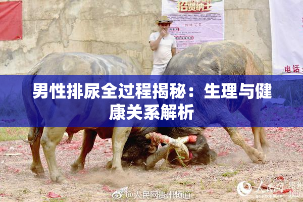 男性排尿全过程揭秘：生理与健康关系解析