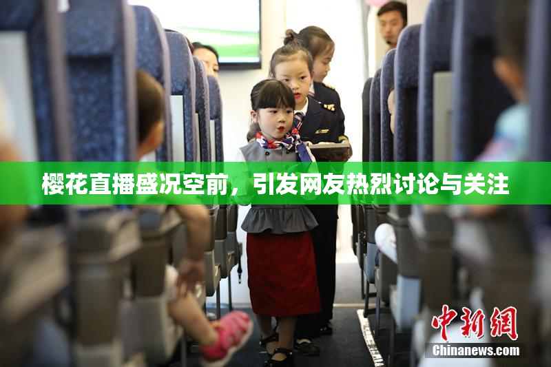 樱花直播盛况空前，引发网友热烈讨论与关注
