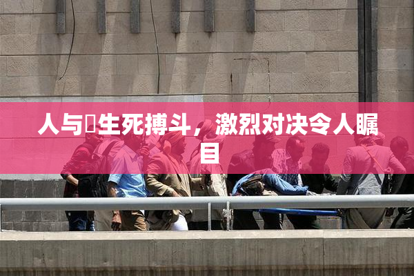 人与嘼生死搏斗，激烈对决令人瞩目