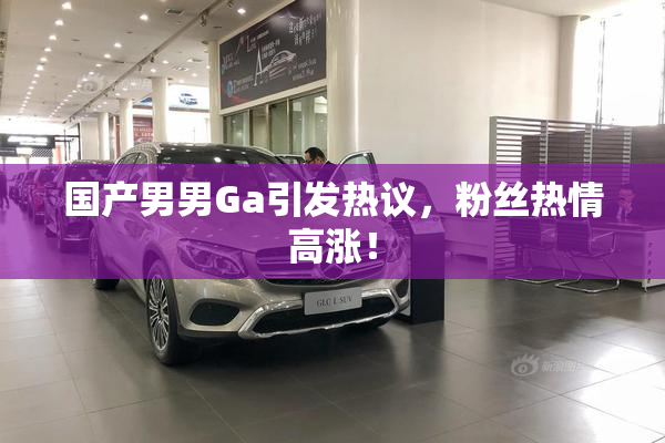 国产男男Ga引发热议，粉丝热情高涨！