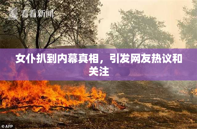 女仆扒到内幕真相，引发网友热议和关注