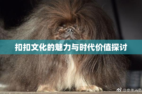 扣扣文化的魅力与时代价值探讨