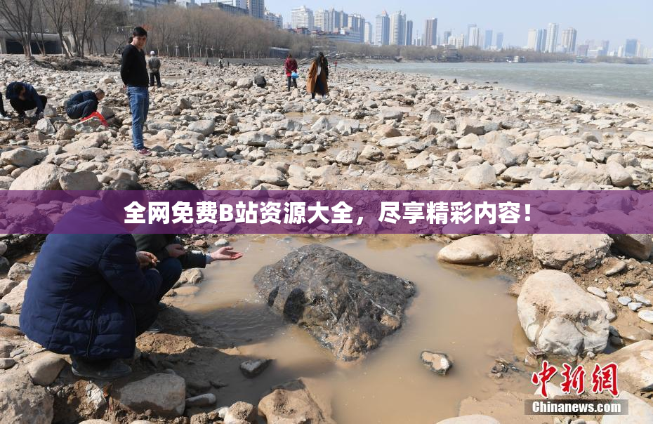全网免费B站资源大全，尽享精彩内容！