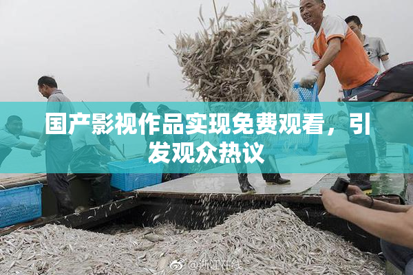 国产影视作品实现免费观看，引发观众热议