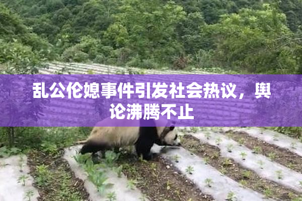 乱公伦媳事件引发社会热议，舆论沸腾不止