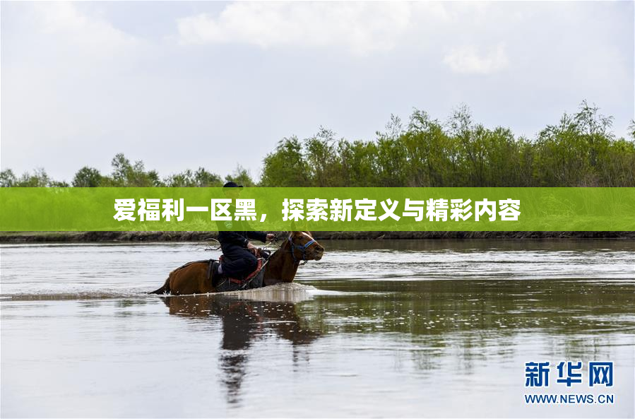 爱福利一区黑，探索新定义与精彩内容