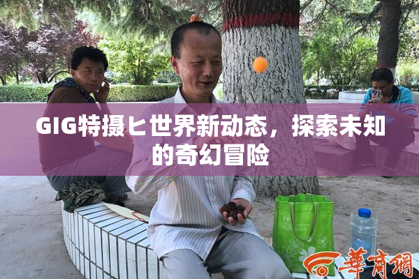 GIG特摄ヒ世界新动态，探索未知的奇幻冒险