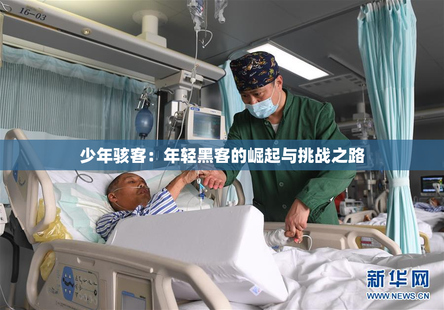 少年骇客：年轻黑客的崛起与挑战之路