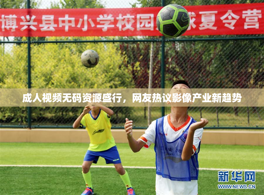 成人视频无码资源盛行，网友热议影像产业新趋势