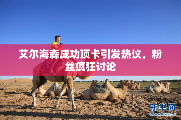 艾尔海森成功顶卡引发热议，粉丝疯狂讨论
