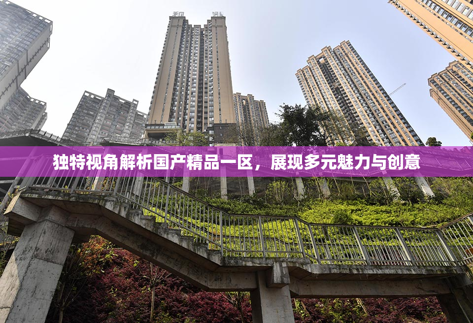 独特视角解析国产精品一区，展现多元魅力与创意