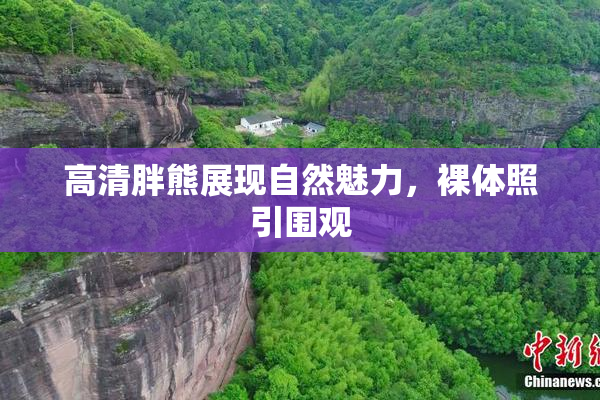 高清胖熊展现自然魅力，裸体照引围观