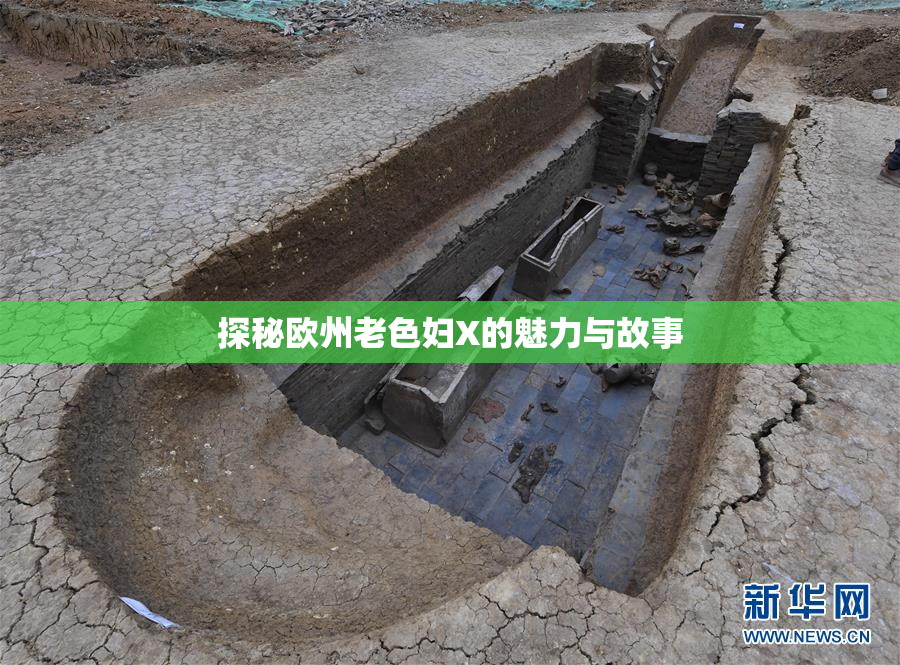 探秘欧州老色妇X的魅力与故事