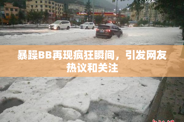 暴躁BB再现疯狂瞬间，引发网友热议和关注