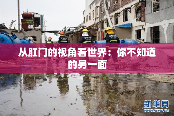 从肛门的视角看世界：你不知道的另一面