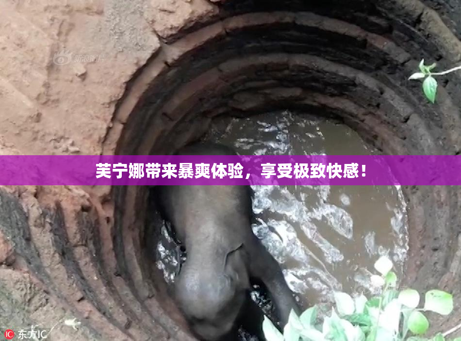 芙宁娜带来暴爽体验，享受极致快感！