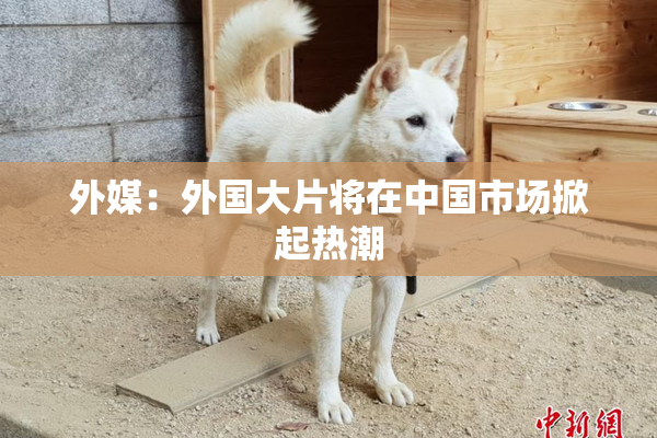 外媒：外国大片将在中国市场掀起热潮