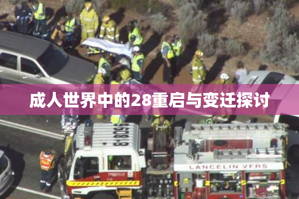 成人世界中的28重启与变迁探讨