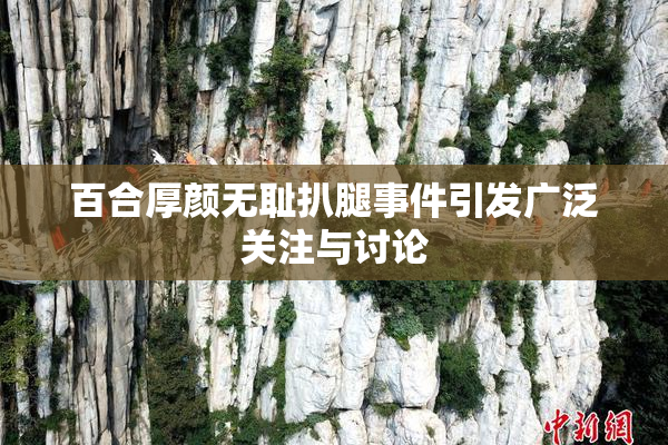 百合厚颜无耻扒腿事件引发广泛关注与讨论