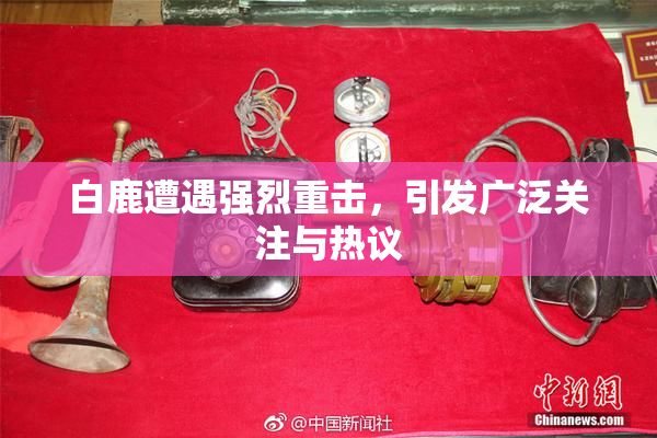 白鹿遭遇强烈重击，引发广泛关注与热议