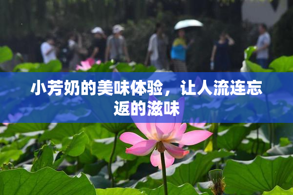 小芳奶的美味体验，让人流连忘返的滋味