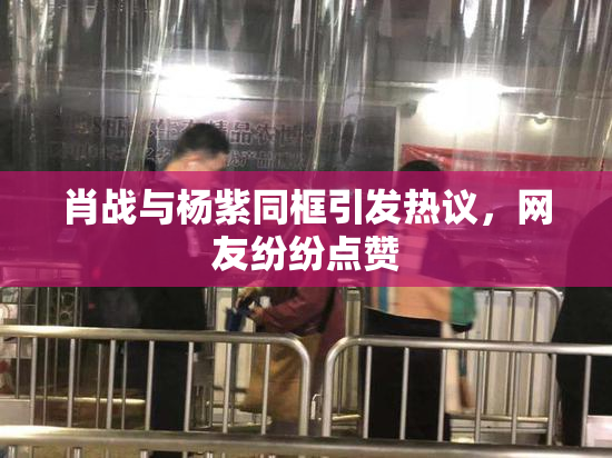 肖战与杨紫同框引发热议，网友纷纷点赞