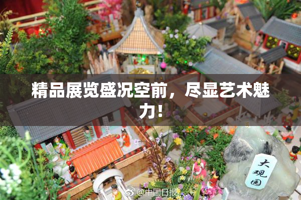 精品展览盛况空前，尽显艺术魅力！