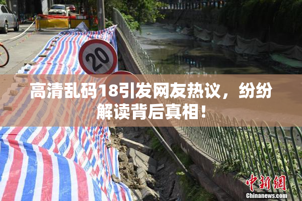 高清乱码18引发网友热议，纷纷解读背后真相！