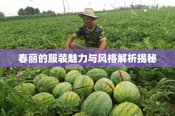 春丽的服装魅力与风格解析揭秘