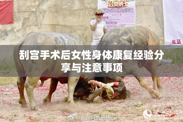 刮宫手术后女性身体康复经验分享与注意事项
