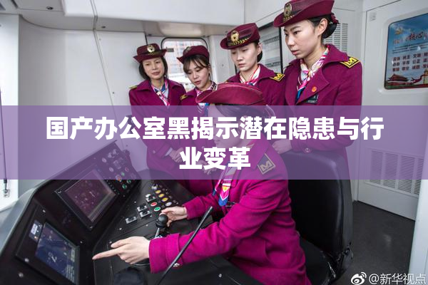 国产办公室黑揭示潜在隐患与行业变革