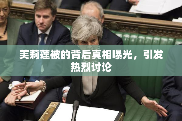 芙莉莲被的背后真相曝光，引发热烈讨论