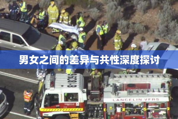 男女之间的差异与共性深度探讨