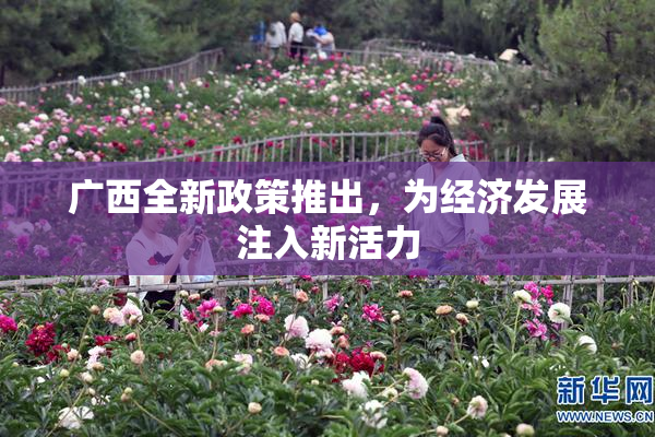 广西全新政策推出，为经济发展注入新活力