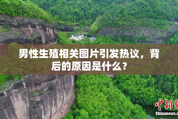 男性生殖相关图片引发热议，背后的原因是什么？