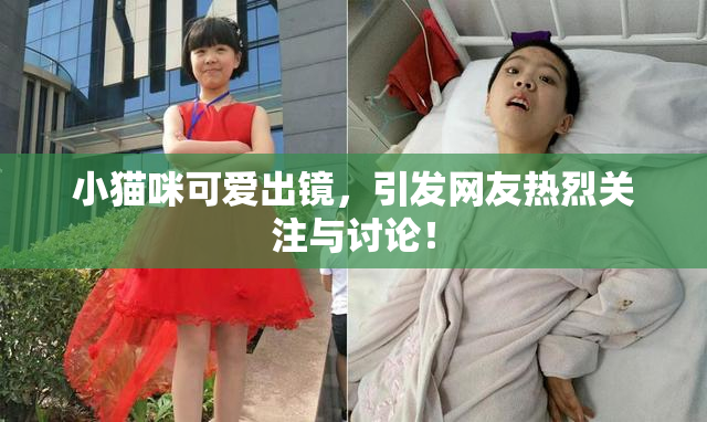 小猫咪可爱出镜，引发网友热烈关注与讨论！