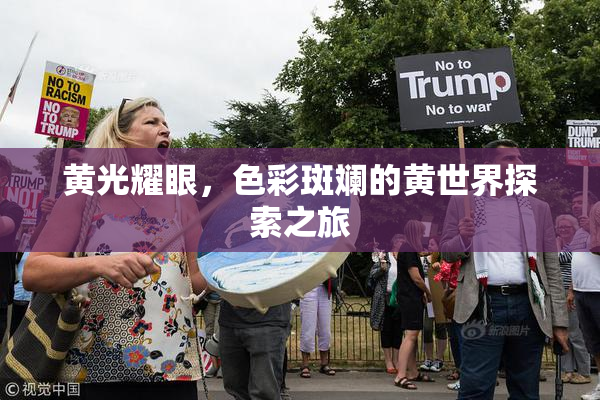 黄光耀眼，色彩斑斓的黄世界探索之旅