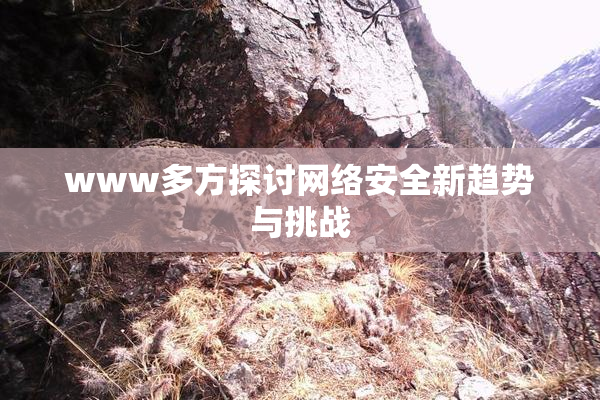 www多方探讨网络安全新趋势与挑战