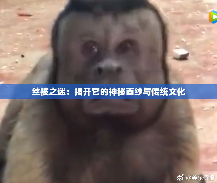 丝被之迷：揭开它的神秘面纱与传统文化