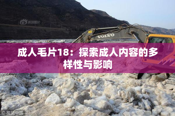 成人毛片18：探索成人内容的多样性与影响