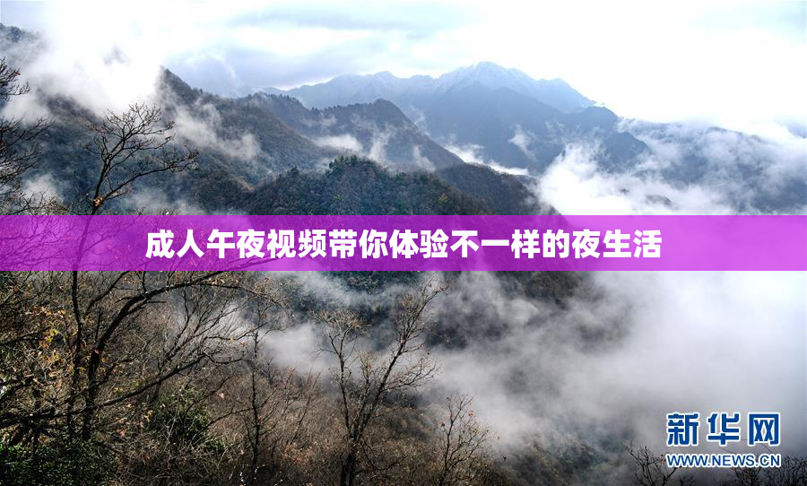 成人午夜视频带你体验不一样的夜生活